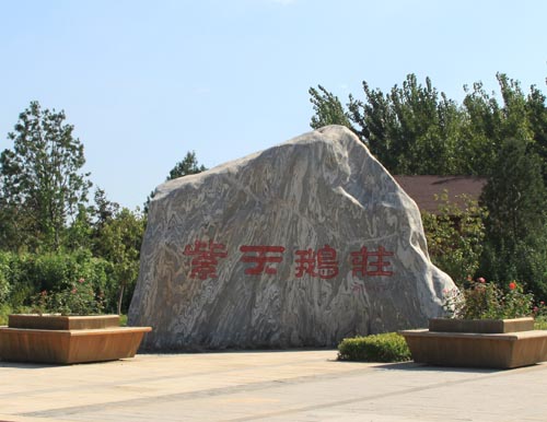 �Ϻ������ׯľ�ݱ����Ƶ�