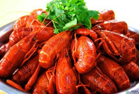 �����󡿺�������Ϻ