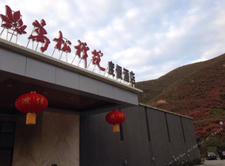 ��Ǩ��������ɽ������Ժ�ȼپƵ�