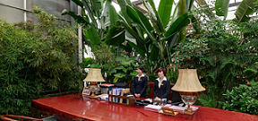 ����ͤ��ة����̬����